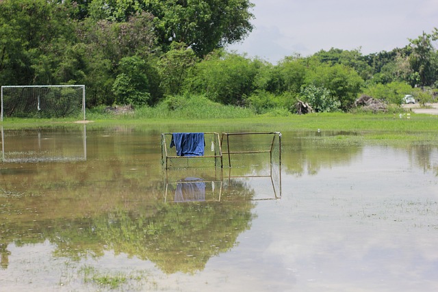 西媒：国米、尤文关注拉齐奥后卫吉拉，皇马拥有50%转会分成.