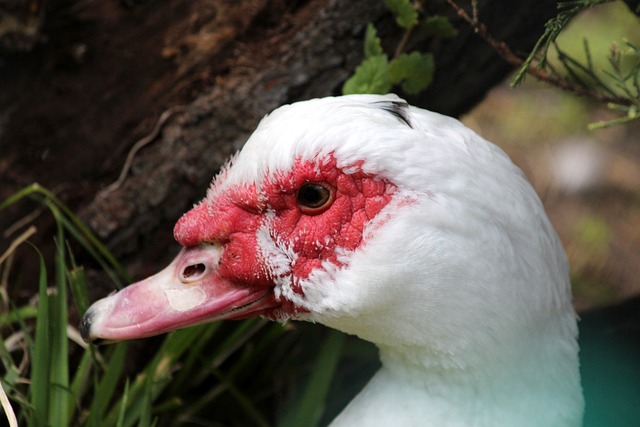 不仅稳固了 不仅稳固了