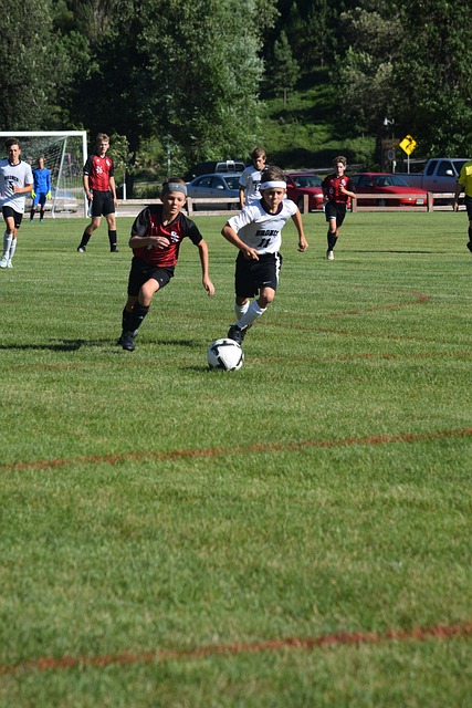 意甲第21輪AC米蘭4-0克羅托內 伊布梅開二度雷比奇1分鐘2球.