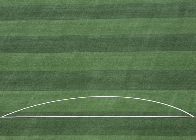 CBA：主场连胜 新疆队108-97北京北汽队.