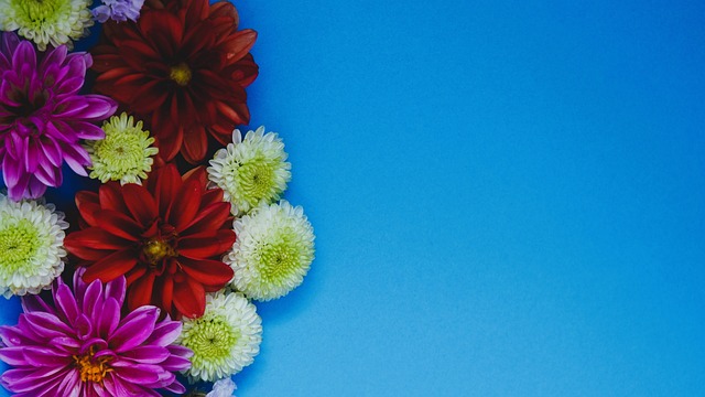 在本屆賽事 在本屆賽事